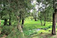 Park view #4