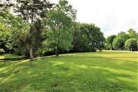 Park view #3