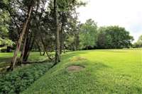 Park view #6