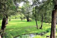 Park view #5