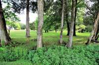 Private neighborhood park for exercise and enjoyment.