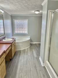 The primary bath has the large soaker tub and the separate stand up shower.