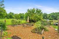 Current garden area.