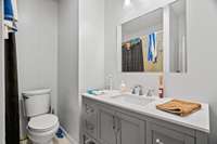 Lower level full bathroom.
