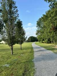 this could be your view as you drive down your driveway!