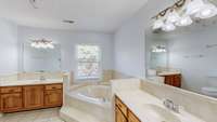 Primary bathroom featuring separate vanities.