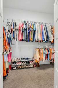 Walk in closet in Guest BR