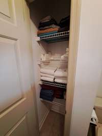 Hall bath linen closet