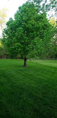 Spring & summer vs winter.  Trees to enjoy front and back!