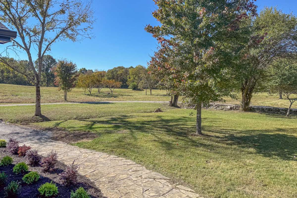View from the front porch looking left.  Imagine drinking your coffee out here in the morning