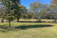 View from the front porch looking straight out.