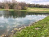 Pond after duckweed was treated