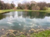 Pond after duckweed has been treated