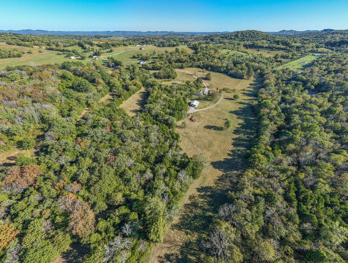 40 acres of woods/pasture