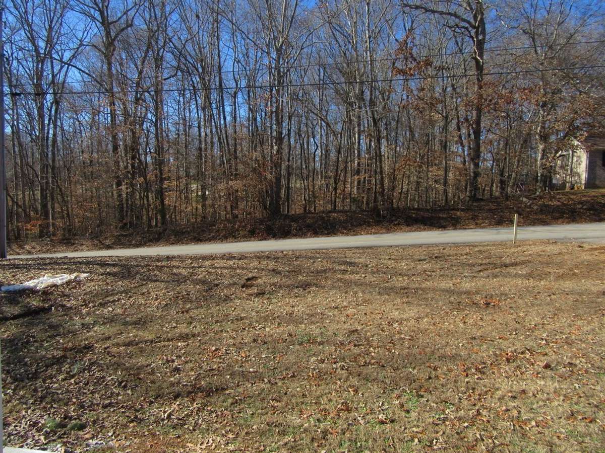 Wooded Lot View across the street