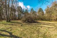 Plenty of cleared space and wooded space for privacy