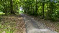 Secluded drive