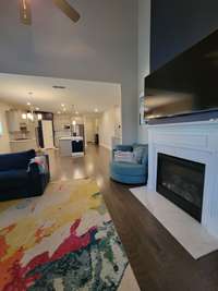 Switch operated gas fireplace