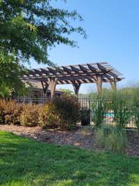 Shaded Poolside Arbors and Trellis