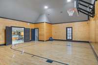 Literally play basketball inside your house!