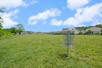 Frisbee golf