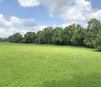 Back Yard View 2