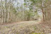 Trails to create memories