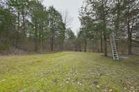 Plenty of flat yard to customize and/or enjoy all of the wildlife