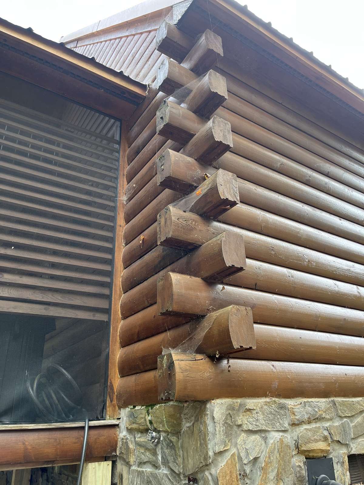 True log construction on exterior