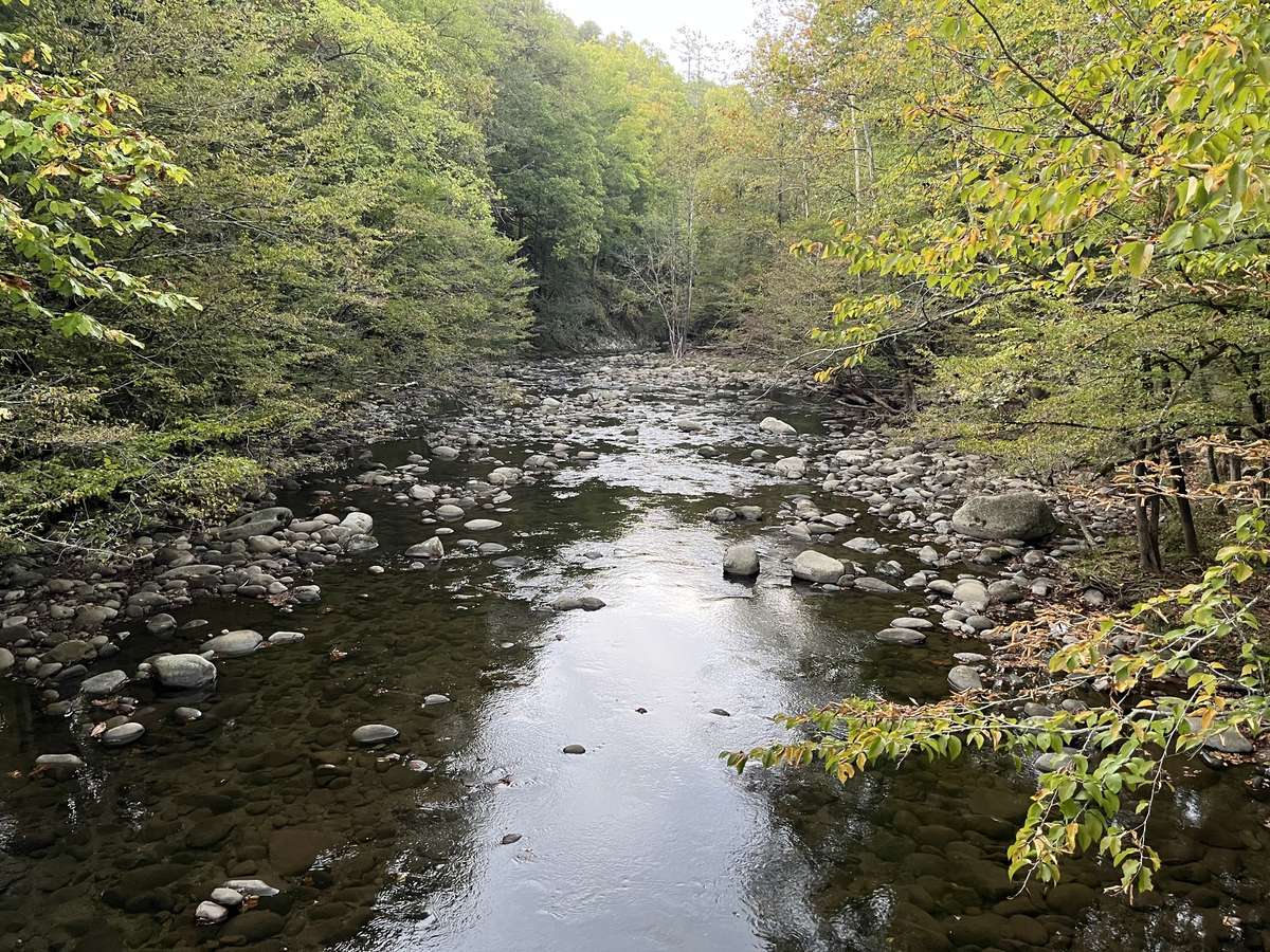One of many creeks in the area