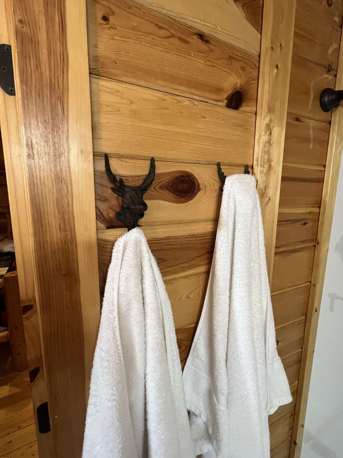 Special touches, like the Cabin themed towel hooks