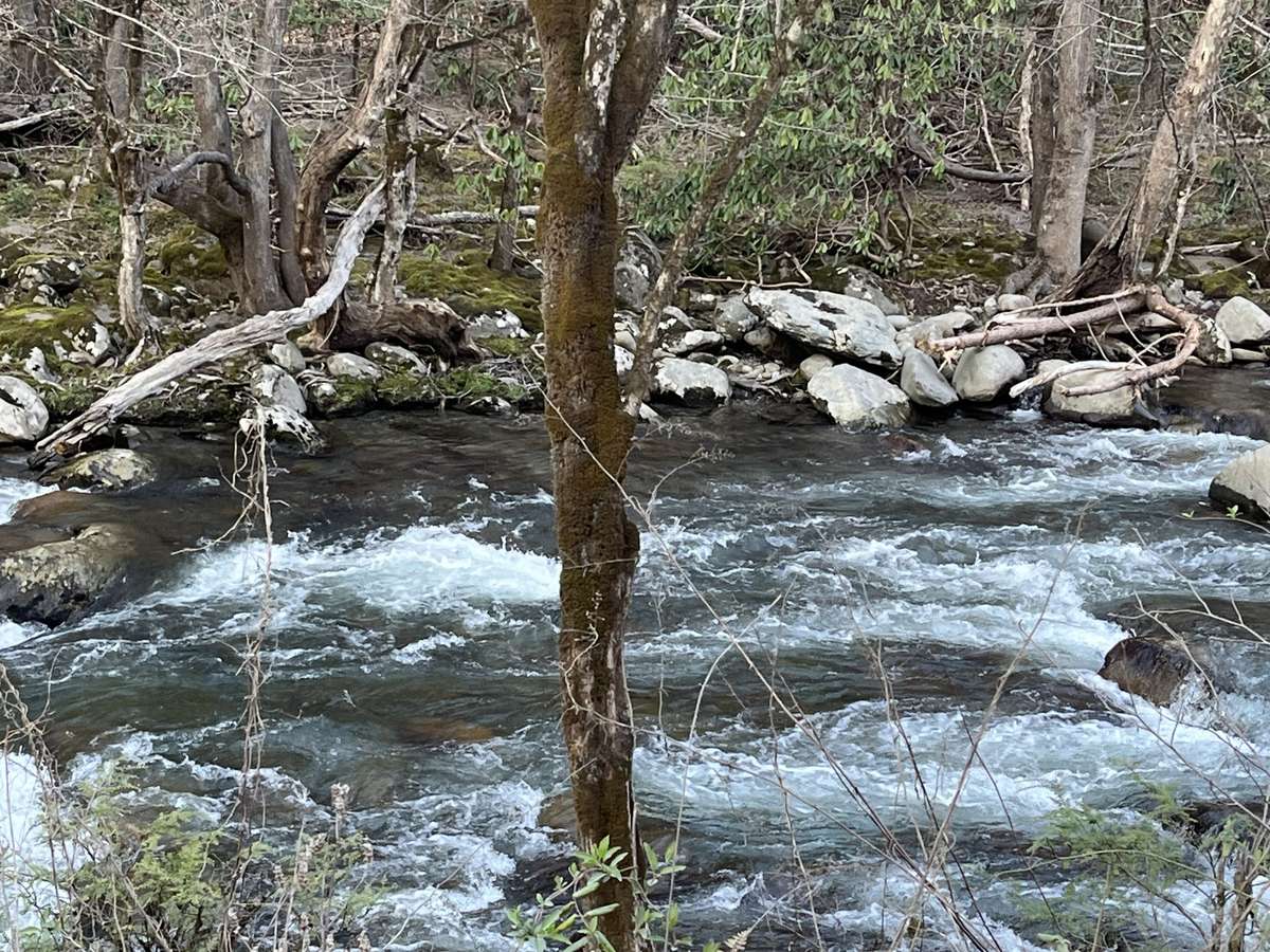 Only a short distance to Smokey Mountain entrance with this stream!