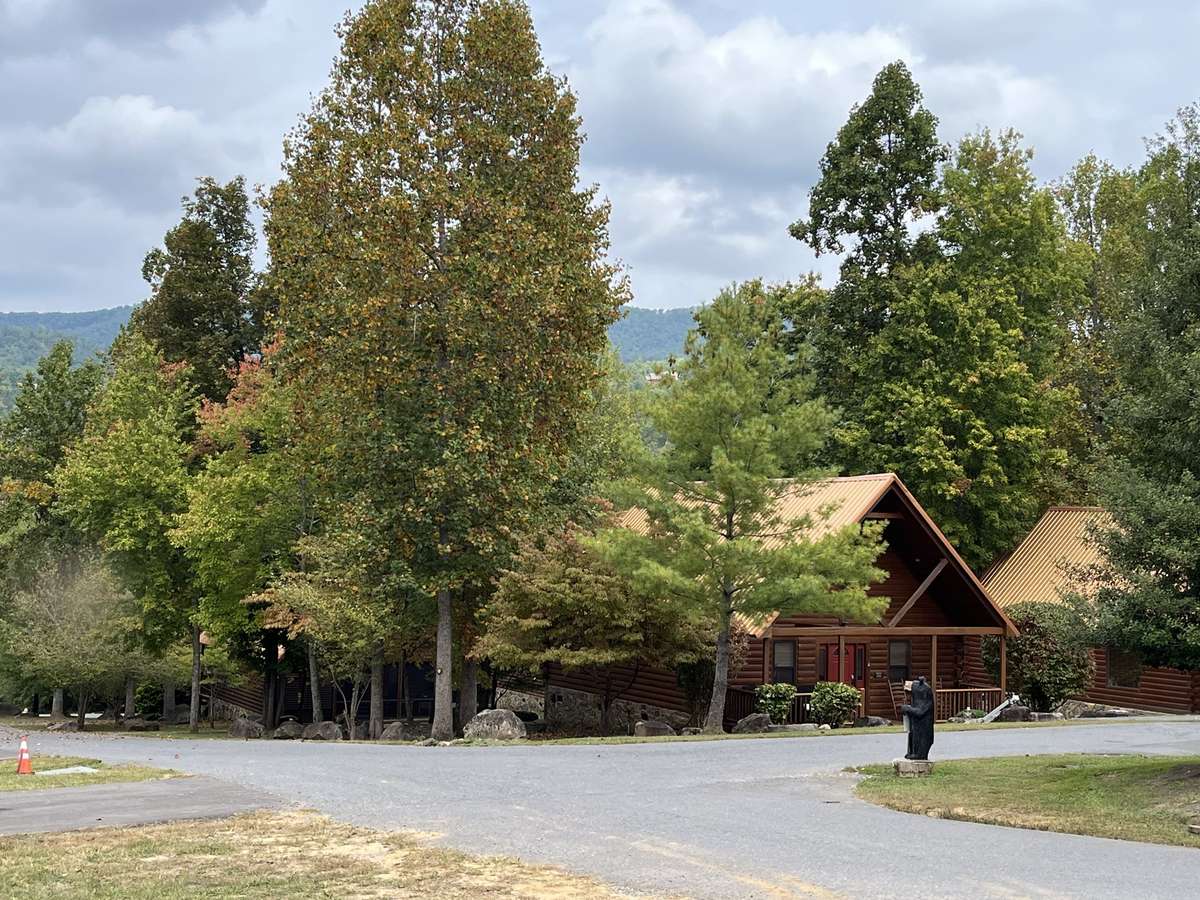 Plenty of green trees in the summer, mountains in the background.