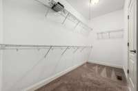 Closet in the Primary Bathroom