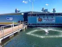 Sam’s sports bar at the blue turtle bay Marina. Open year round. A few minutes from premise!