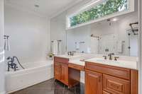 Another view of the primary owner suite bathroom.