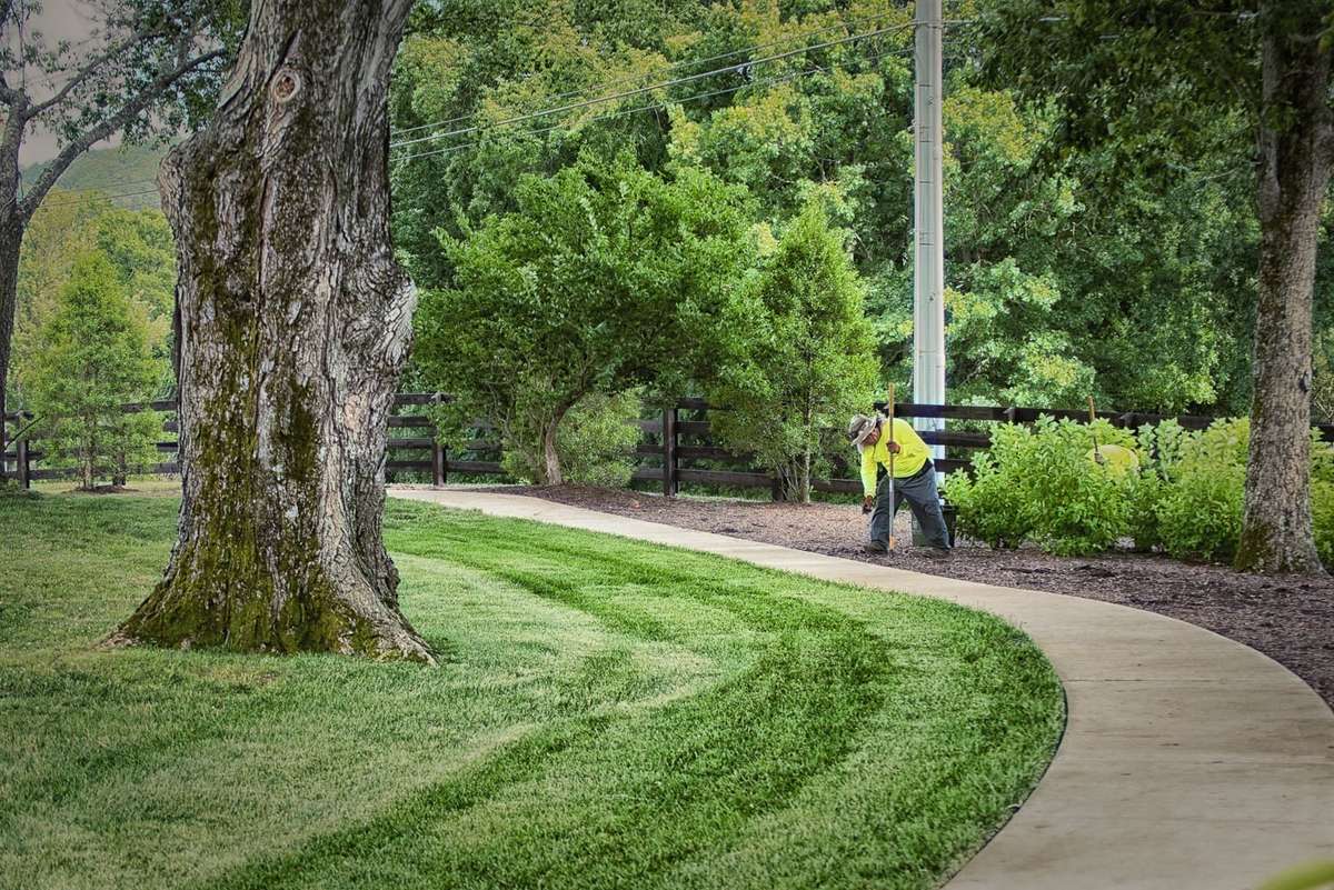 Mature trees and gorgeous walking trails around the neighborhood
