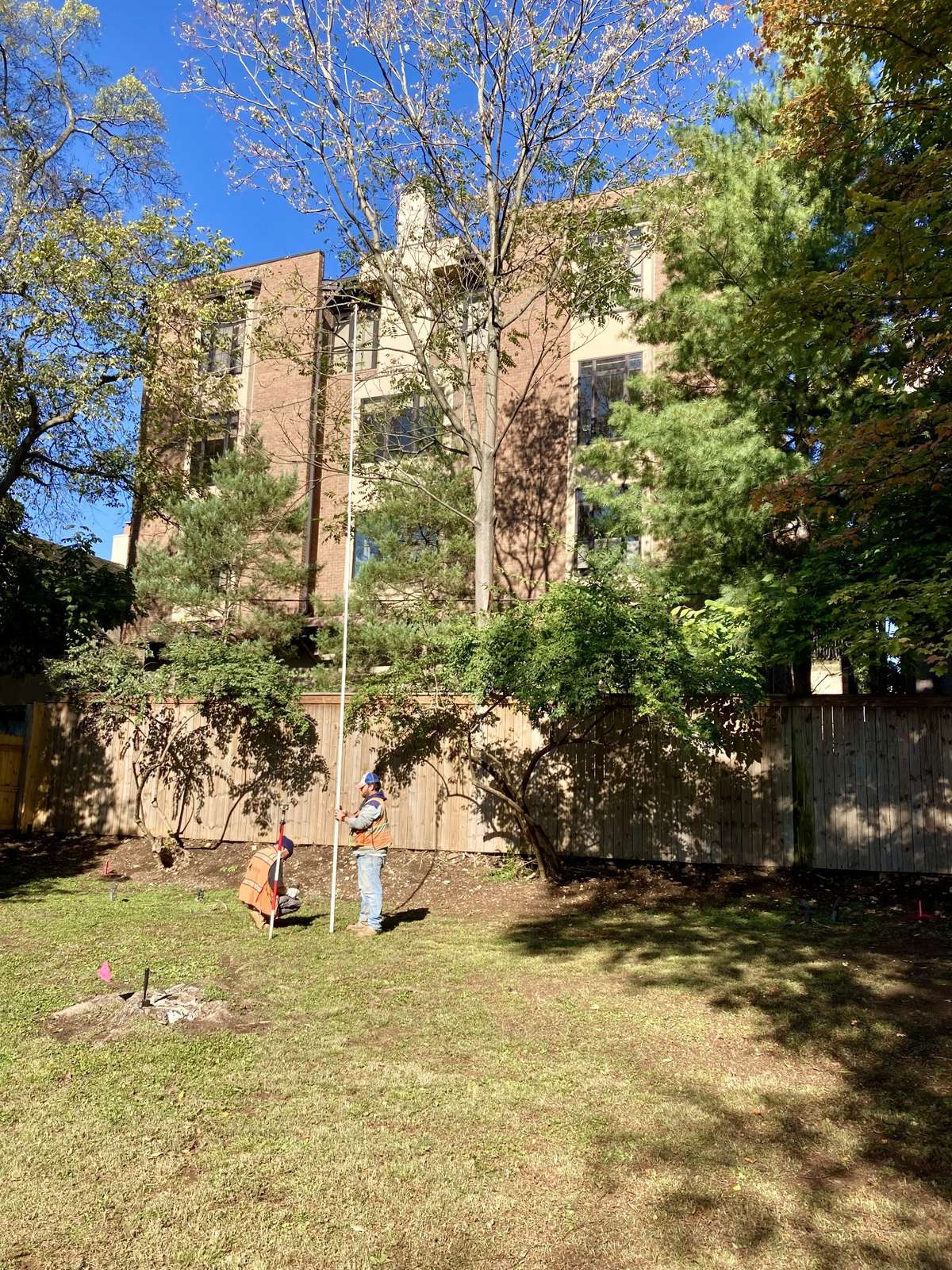 Photo showing the possible height of a backyard 2-story garage/apartment providing privacy for the backyard pool, sitting area.