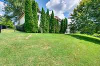 What a lovely backyard.