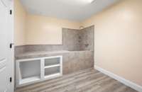 There are lots of storage closets in the terrace level and this room that has a dog wash!