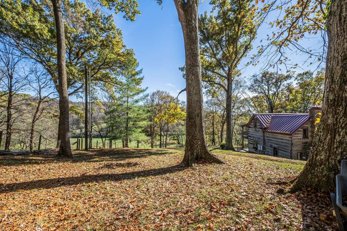 View of the house from the shed.