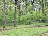 The privacy in the backyard!!