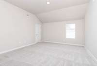 More of those Vaulted Ceilings in the 5th Bedroom/Teen-Suite/Mancave