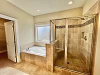 Primary bath - large step-in tiled shower and separate soaking tub with tile surround.