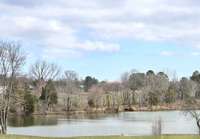 View from the driveway