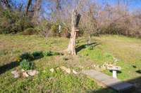 Enjoy watching the daffodils bloom, and continue the seller's tradition of feeding the birds!