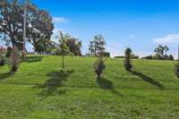Back yard view