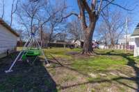 Backyard