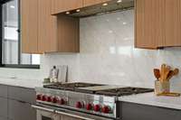 Wolf range with double oven plus the entire backsplash wall wrapped in quartz.