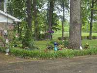 Several perennial gardens reappear every spring!!